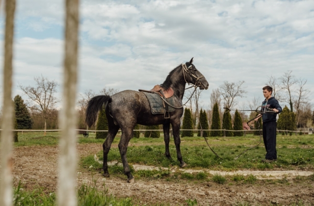  caballo y guía asan nicola 