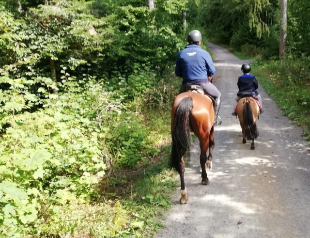  en los bosques de Campania a caballo 