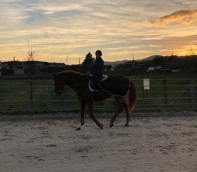  a caballo hasta el atardecer 