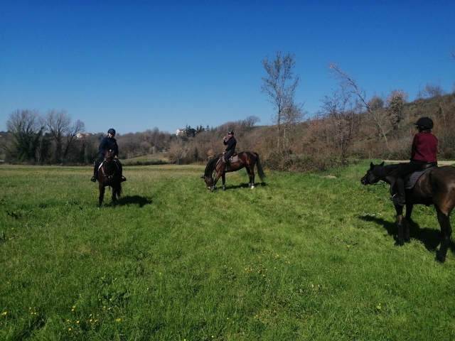  pbaños a caballo 