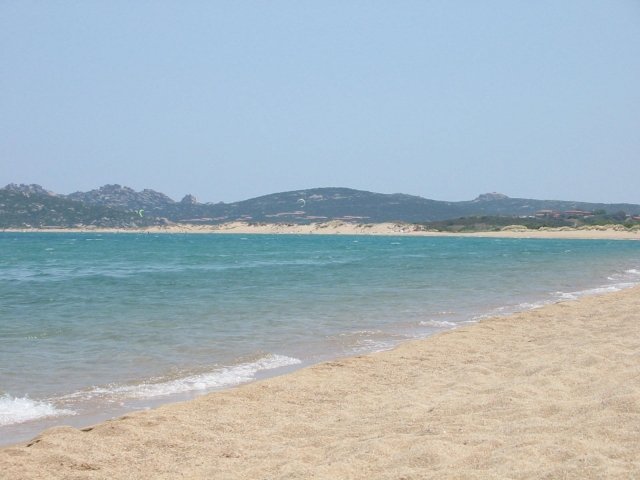  puerto de pollo para descubrir 