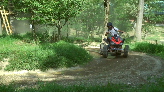  excursión por el bosque 