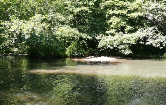 la mola del biscione