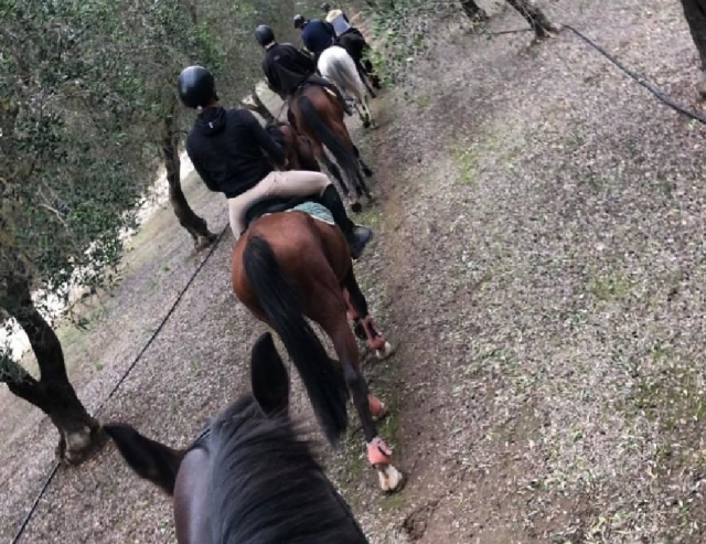  Oria para conocer a caballo