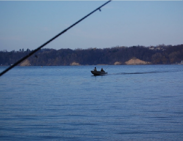 pesca pesca