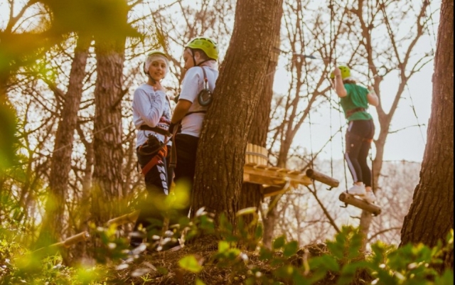  niños en los arboles del parque de aventuras 
