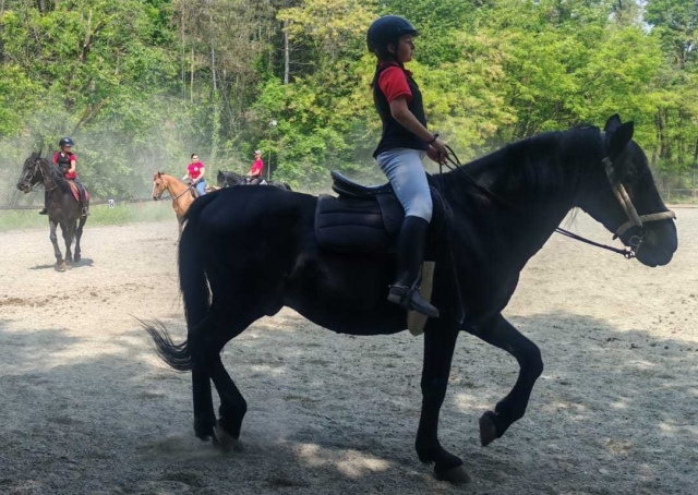 Bautismo de silla 4 a 10 años en Varisella 1h Bautismo de silla 4 a 10 años en Varisella 1h