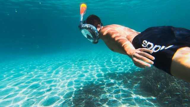  snorkeling 