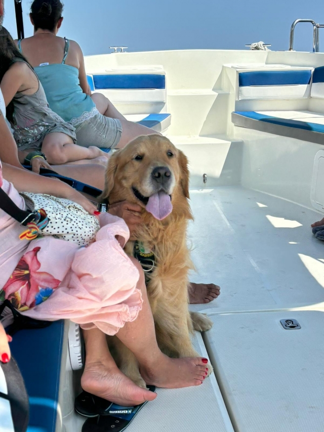  También a bordo con amigos de cuatro pamarras 