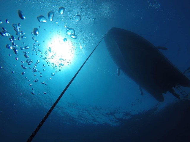  buceo 