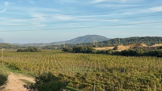 tour del vino 