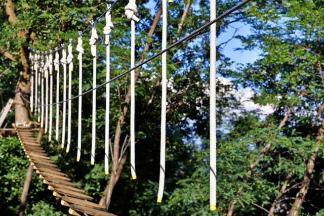  ruta de los árboles 