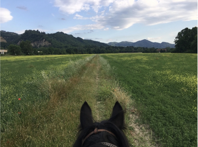 bautismo de la silla