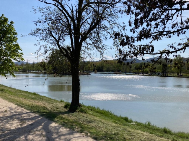  río rin 