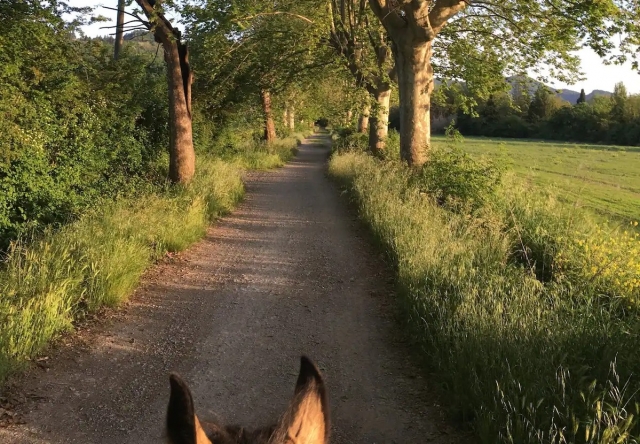  subir a caballo 