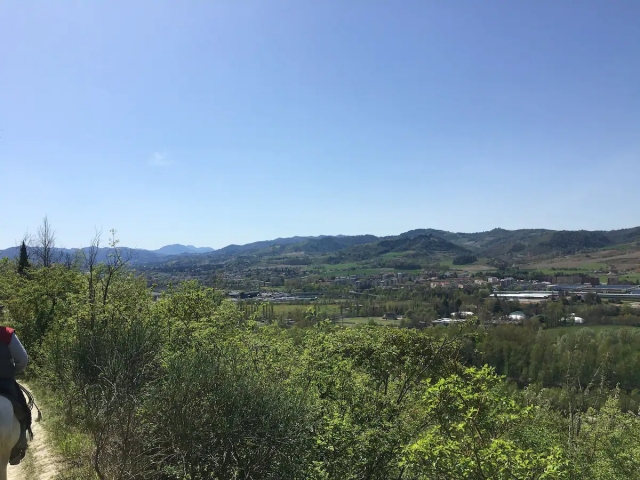  vista desde el caballo 