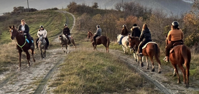  Emilia Romagna Equitación 