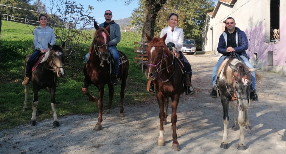  Sasso Marconi Equitación 