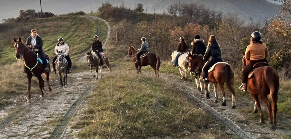  Emilia Romagna Equitación 