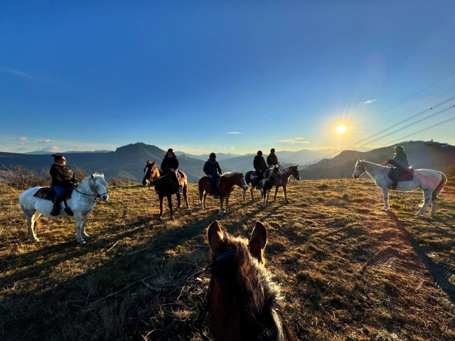 Paseo a caballo de 2 horas en Sasso Marconi Paseo a caballo de 2 horas en Sasso Marconi