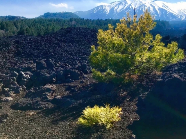 El paisaje del Etna 
