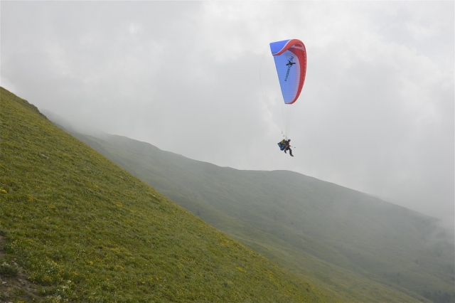 parapenle 