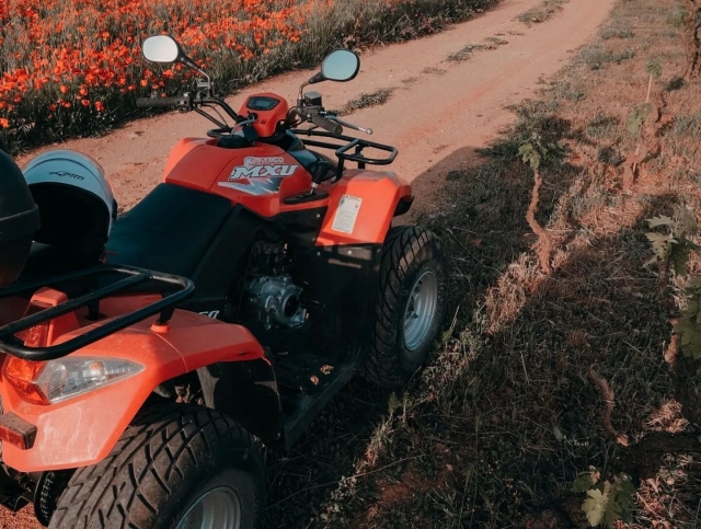 nuestros cuatrimotos 