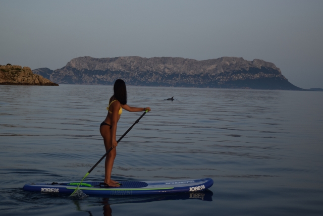  Avistamiento de delfines desde SUP 