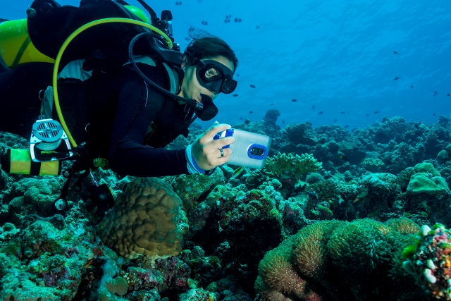  fotos de buceo 