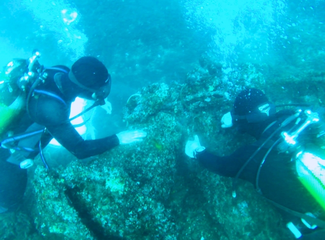 Maravillas submarinas