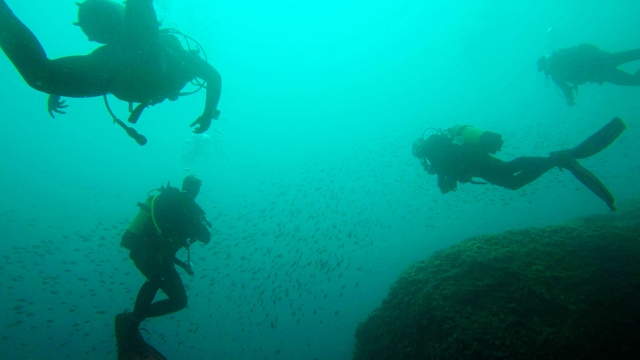  Bajo las aguas de Campania 