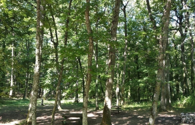  Bosco di Sant'Onofrio 