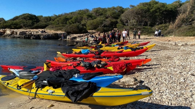  renta de kayak