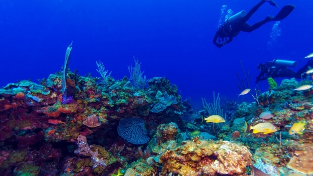  Buceo Bolsena 