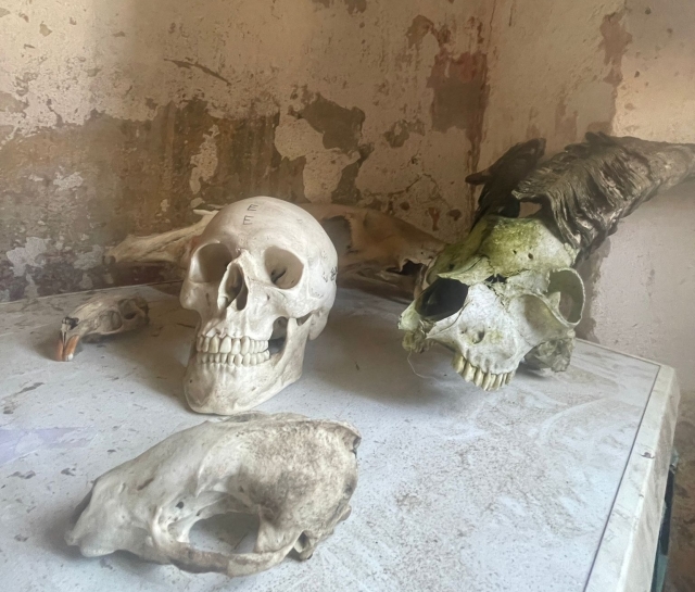  calaveras de escape room 