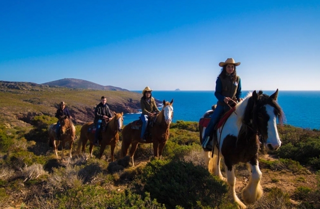 diviértele a caballo 