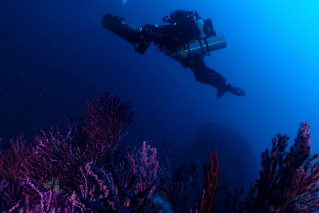 en el fondo marino de Aci Trezza