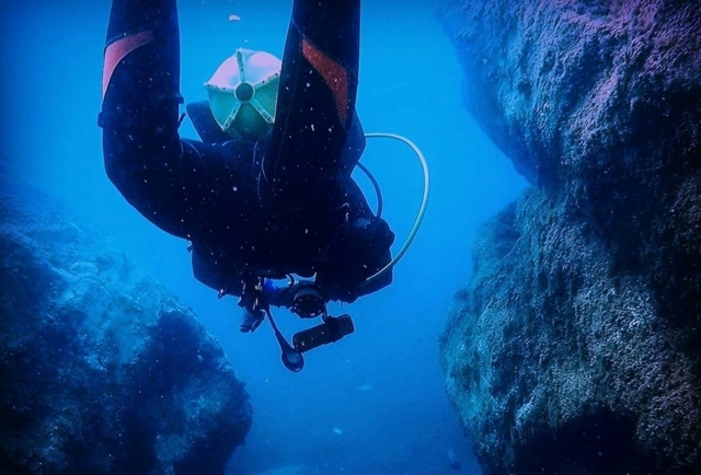 curso Open Water Diver