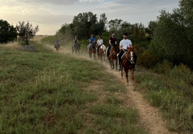  pbaños a caballo 