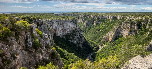 tierra de los cañones 