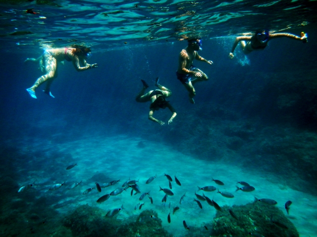  Snorkel en Chia 