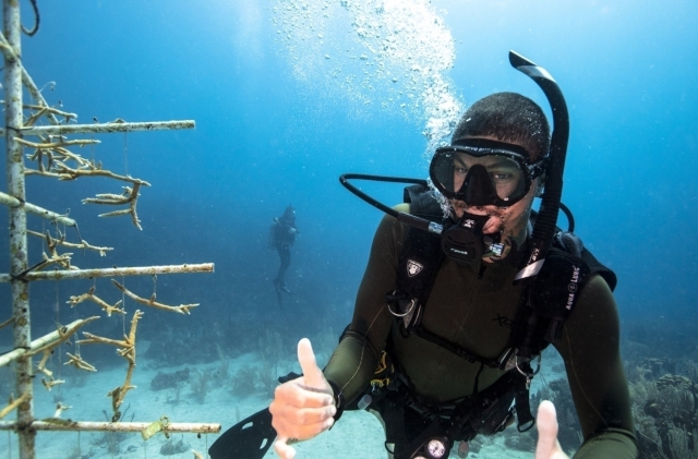  buceo 