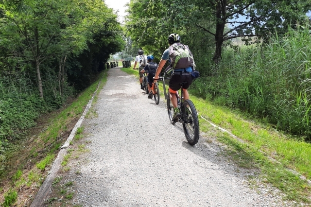  Carreras MTB