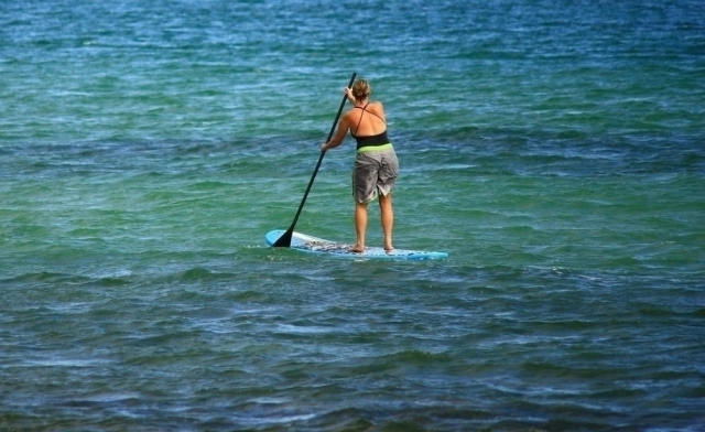  Renta de SUP 