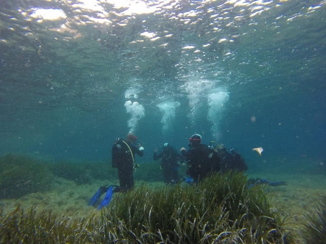Tramarrando de entendernos bajo el agua 