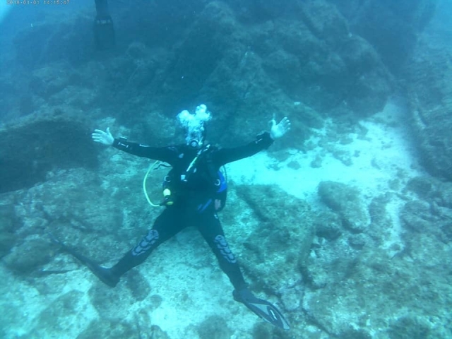 Una nueva especie de estrella de mar 