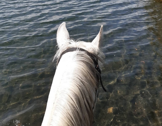 Tour Horse Beach S.Lorenzo New AperiTif 3H