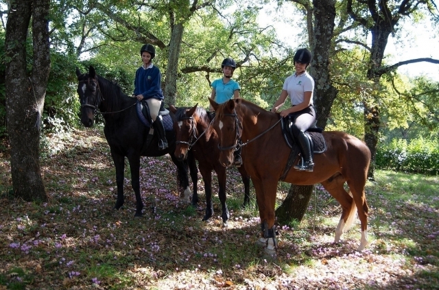  diviértele a caballo 