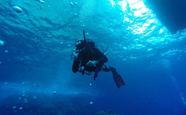  buceo 