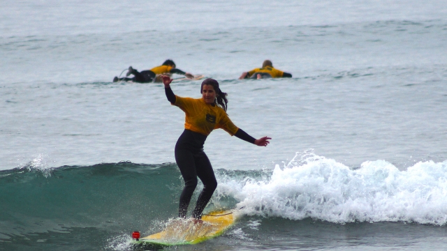  Surfear